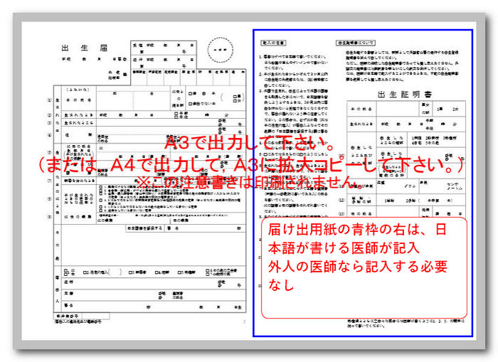 外務省からダウンロードした出生届の説明