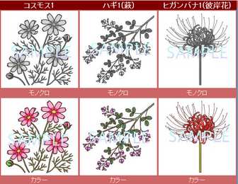 秋の花1【お花と季節のお礼状】無料イラスト素材