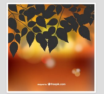 秋 | 無料の写真とベクトル