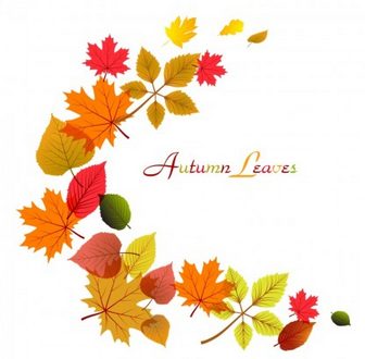 Autumn Free vector for free download (about 439 files).