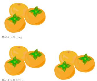柿のイラスト素材