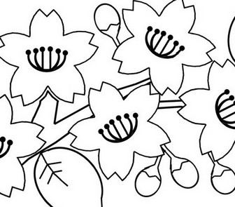 花の塗り絵＆白黒イラストぬりえ　素材屋じゅんのモノクロ画像絵・ぬり絵フリー無料花のイラスト