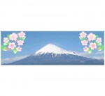 富士山と桜センター固定背景兼用