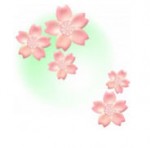 春／桜の花（霞背景・ミントグリーン）