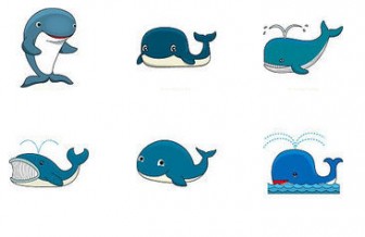 動物素材もイラストポップ | 鮫とクジラのイラストが無料
